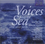 CDE 84496 John Hawkins - Voices from the Sea and other pieces  image